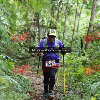Runner Photo 335897