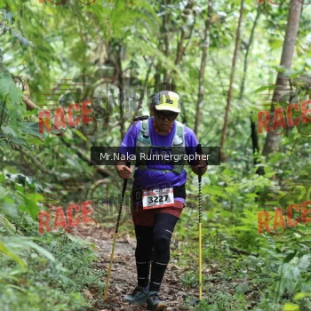 Runner Photo 335912