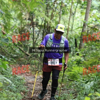 Runner Photo 335918