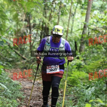 Runner Photo 335921