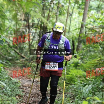 Runner Photo 335923