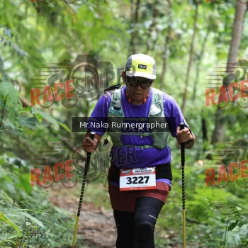 Runner Photo 335926