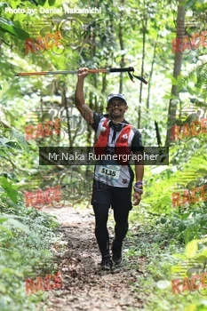 Runner Photo 335941