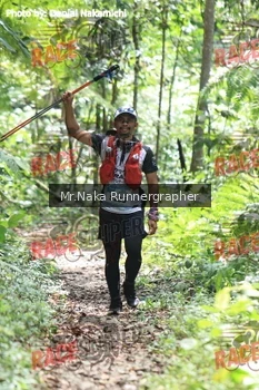 Runner Photo 335964