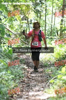 Runner Photo 336198