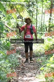 Runner Photo 336206