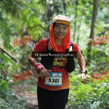 Runner Photo 336242
