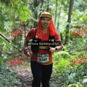 Runner Photo 336246
