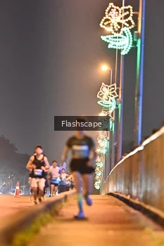 Runner Photo 3363350
