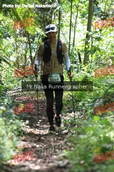 Runner Photo 336417