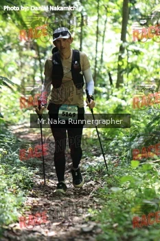 Runner Photo 336421