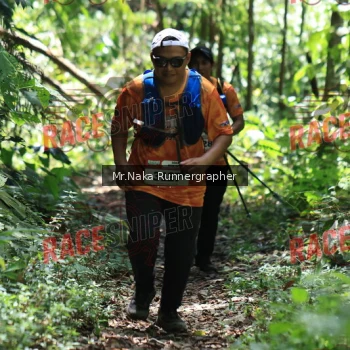 Runner Photo 336627