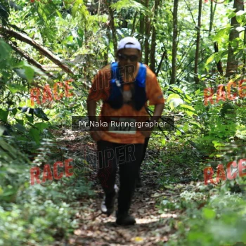 Runner Photo 336678