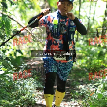 Runner Photo 336846