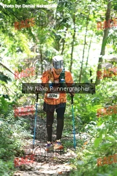 Runner Photo 336861