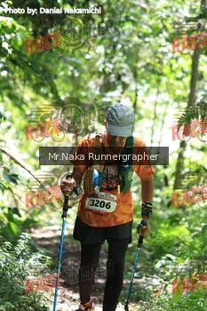 Runner Photo 336871