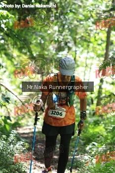 Runner Photo 336873