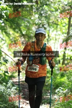 Runner Photo 336877