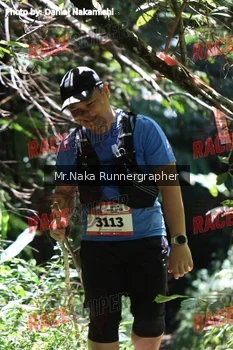 Runner Photo 337071