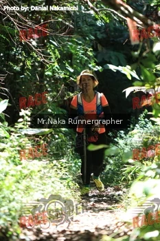 Runner Photo 337078