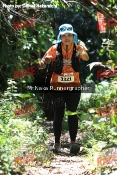 Runner Photo 337151