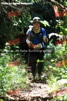 Runner Photo 337195