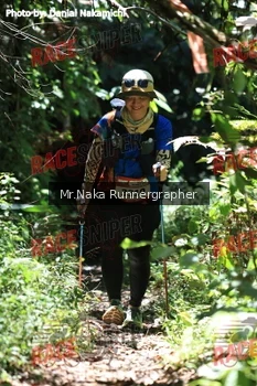 Runner Photo 337205