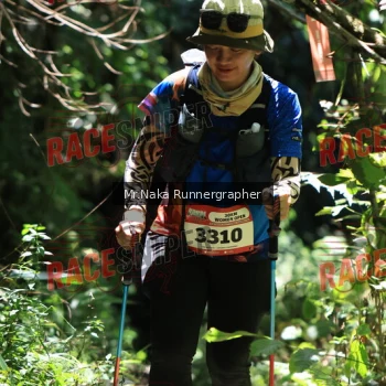 Runner Photo 337208