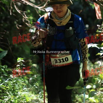 Runner Photo 337210