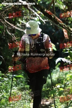 Runner Photo 337247