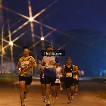 Runner Photo 3373008