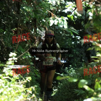 Runner Photo 337457