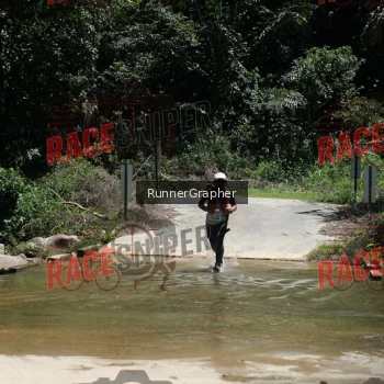 Runner Photo 337463