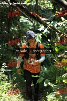 Runner Photo 337569