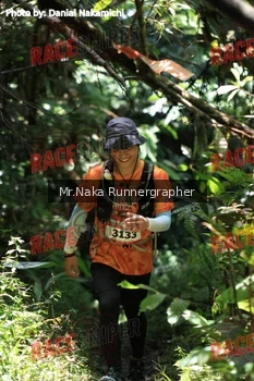 Runner Photo 337570