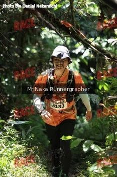 Runner Photo 337573