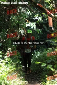 Runner Photo 337583
