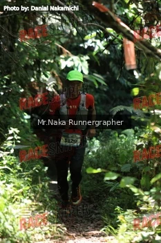 Runner Photo 337587