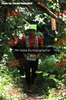 Runner Photo 337591