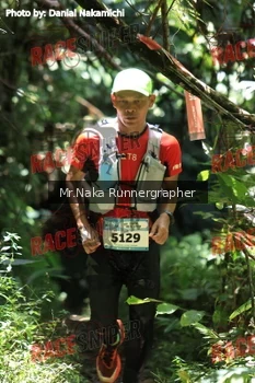 Runner Photo 337604