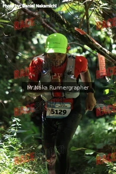 Runner Photo 337605
