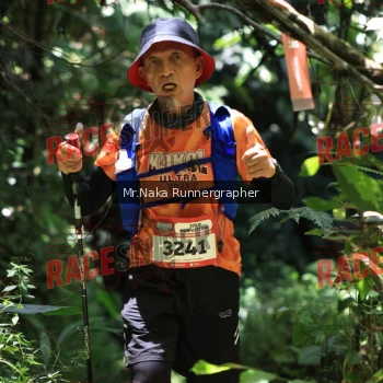 Runner Photo 337642
