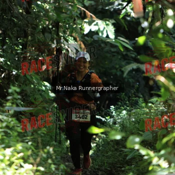 Runner Photo 337656