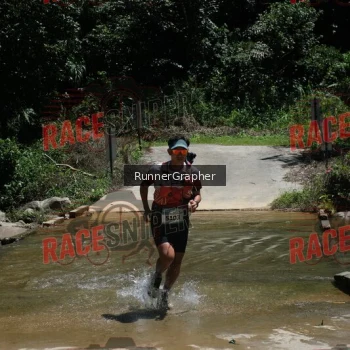 Runner Photo 337658