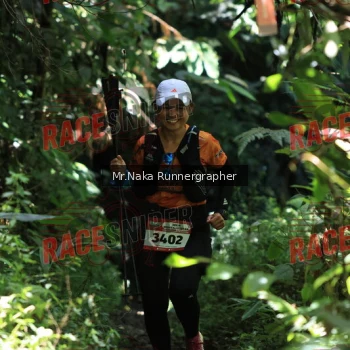 Runner Photo 337678
