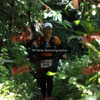Runner Photo 337680