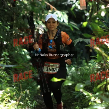 Runner Photo 337685