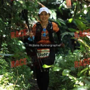 Runner Photo 337690