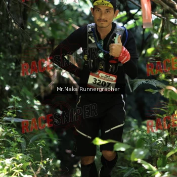 Runner Photo 337721