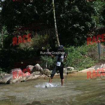 Runner Photo 337970